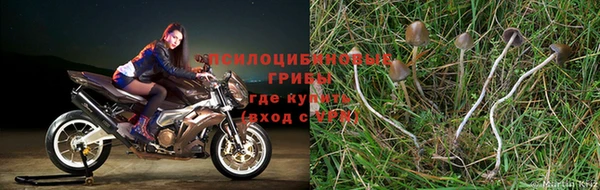 альфа пвп VHQ Абаза