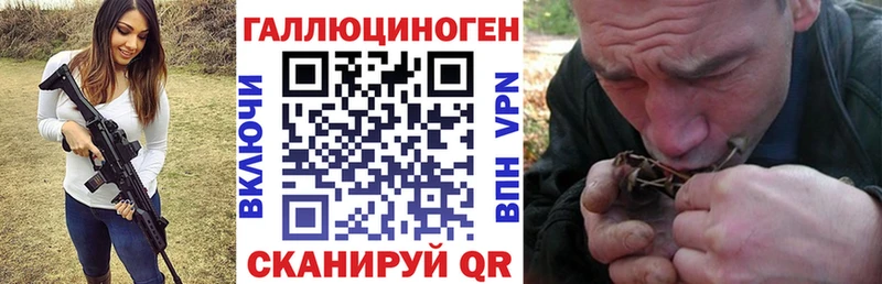 Псилоцибиновые грибы Psilocybe  Ак-Довурак 